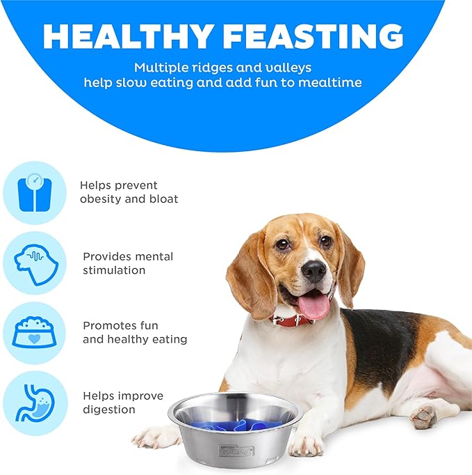 Outward Hound Fun Feeder Stainless Steel Slo Bowl Slow Feeder Stainless Steel Dog Bowl with Slow Feeder Insert