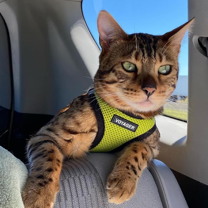 Voyager Step-in Air Cat Harness 10.5-13")