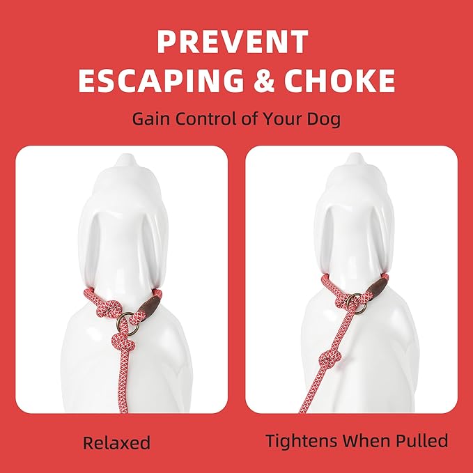 Mile High Life Slip Leads for Dogs 4 Feet