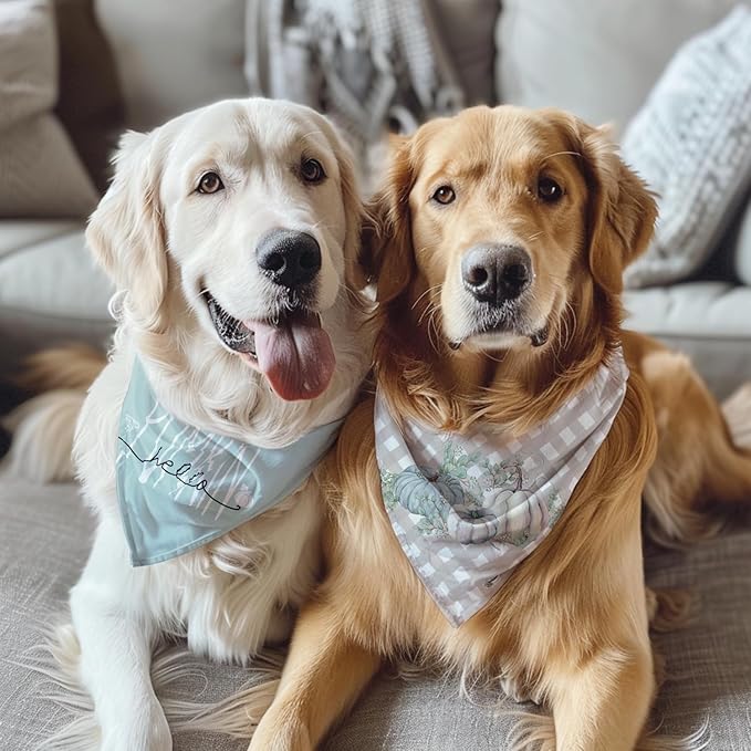 Fall Dog Bandana 2 Pack Thanksgiving Dog Bandana Pumpkin Pet Scarf Reversible Fall Triangle Bibs Soft Cotton Boy Girl Dog Bandanas for Small, Medium, Large Dogs (Large)