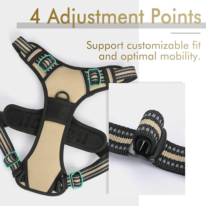 rabbitgoo Dog Harness 2 Leash