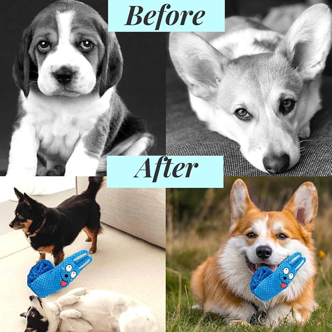 Squeaky Dog Puzzle Toys Interactive Plush Dog Toys Snuffle Mat for Dogs IQ Training Toys Foraging Instinct Training Puppy Toys for Small