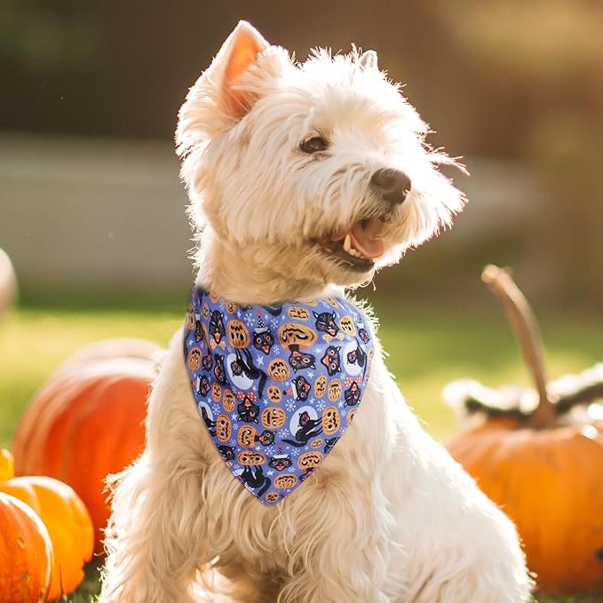 Halloween Dog Collar with Detachable Bandana
