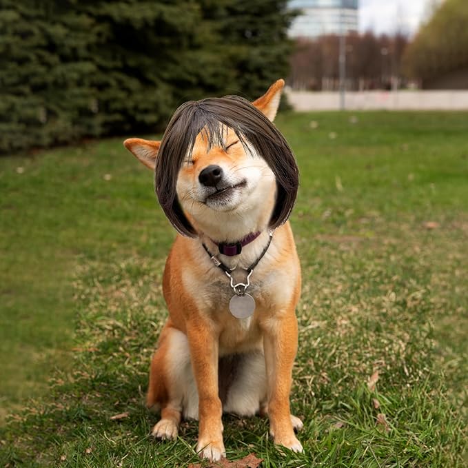 Funny Cat Dog Wig