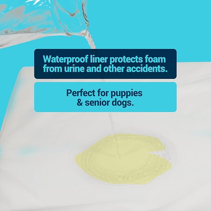 La-Z-Boy Petmate Bentley Orthopedic Foam Large Dog Bed (36 x 28 x 3 inches) 50lbs with