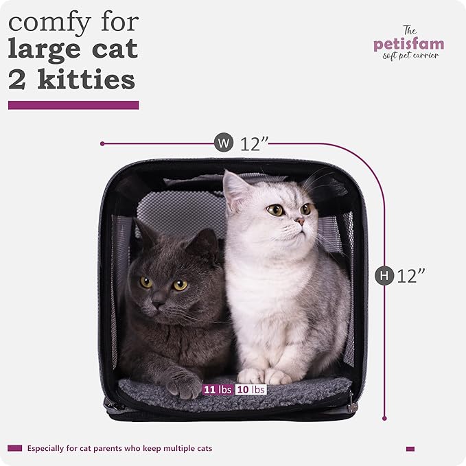 Soft Pet Carrier for Large and Medium Cats 2 Kitties,