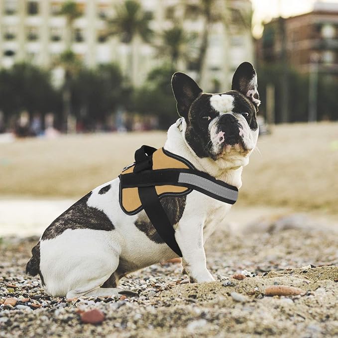 Bolux Dog Harness