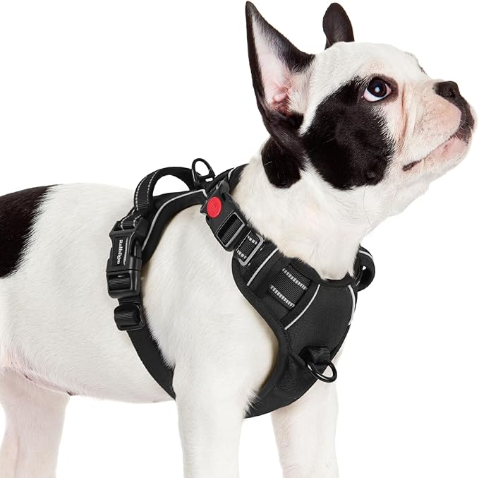 rabbitgoo Dog Harness Small Sized 3 Buckles,