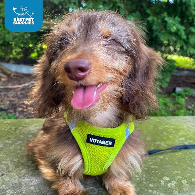 Voyager Step-in Air Cat Harness 10.5-13")