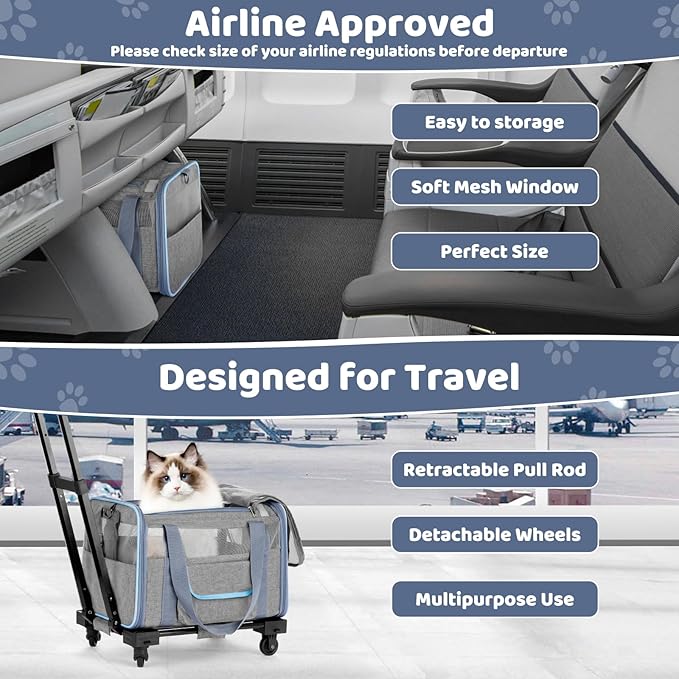 Pet Carrier for Small Dog Cat 20 Lbs