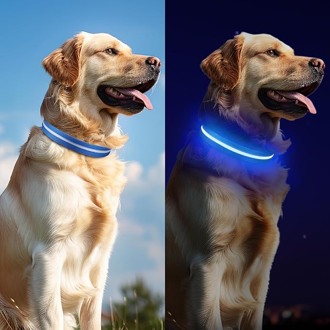 Led Dog Collar for Night Walking