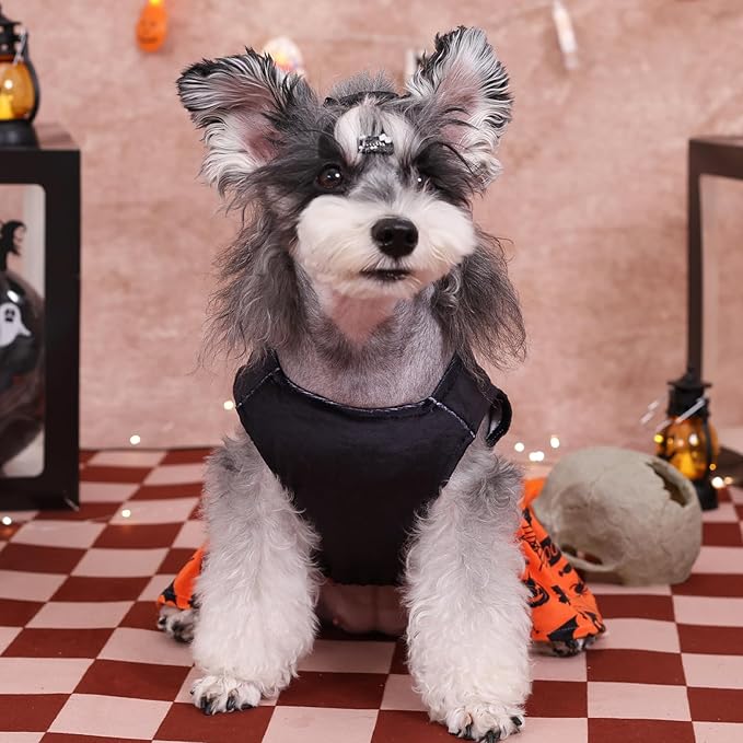CuteBone Halloween Dog Dresses Velvet Holiday Small Dogs Clothes Onesie Pet Apparel Girl Puppy Skirt with Bow Hair Rope CVA43M-D
