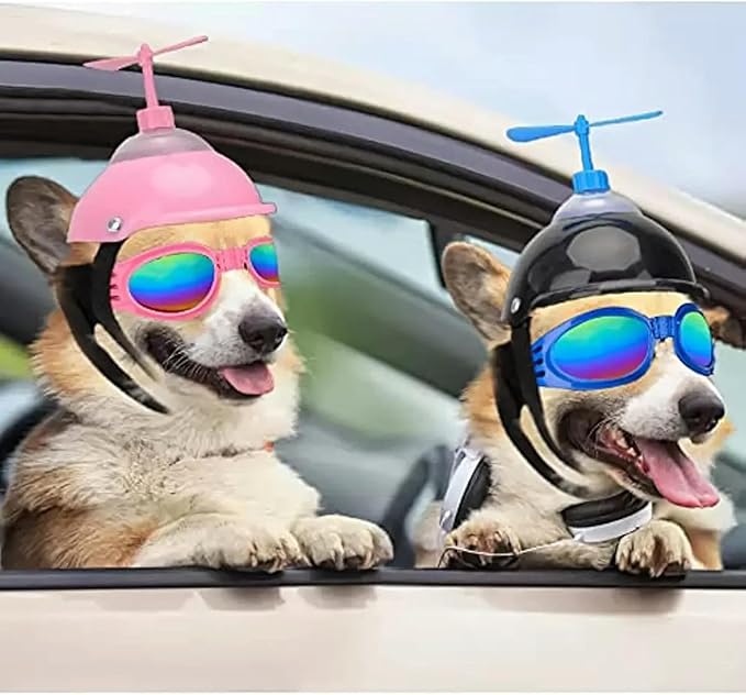 Dog Helmet and Goggles with Cute Propeller Adjustable