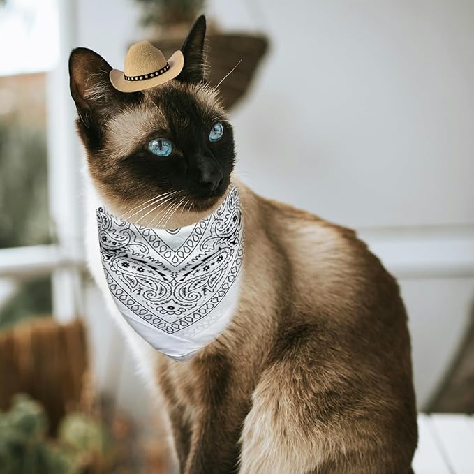 Dog Cowboy Hat Cat Cowboy Hat Mini Cowboy Hat for Dogs Cat Pet Cowboy Costume with Bandana Scarf Holiday Halloween Pet Party Decoration (khaki