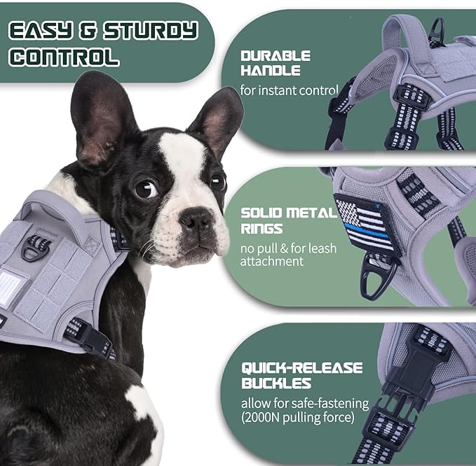 BUMBIN Tactical Dog Harness for Large Dogs No Pull with Dog Leash