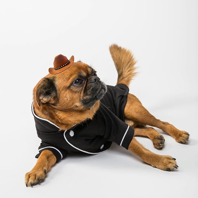 Dog Cowboy Hat Cat Cowboy Hat Mini Cowboy Hat for Dogs Cat Pet Cowboy Costume with Bandana Scarf Holiday Halloween Pet Party Decoration (brown