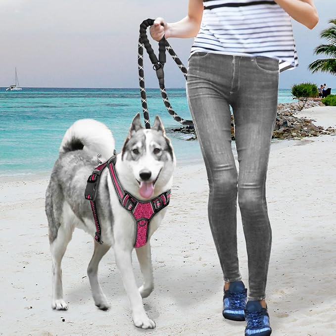 BARKBAY No Pull Dog Harness Large Step in Reflective Dog Harness with Front Clip and Easy Control Handle for Walking Training Running with ID tag Pocket(Pink/Black