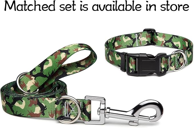 Adjustable Dog Collar with Patterns
