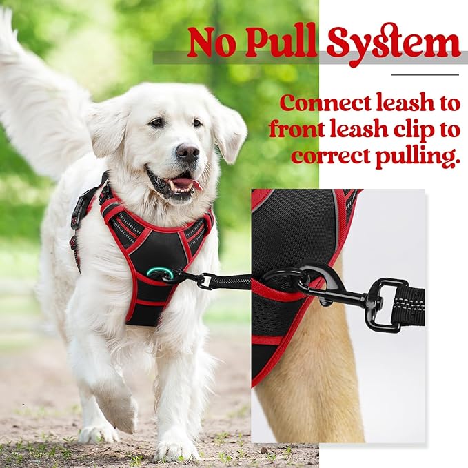 rabbitgoo Dog Harness 2 Leash