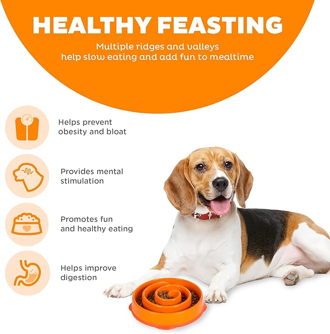 Outward Hound Fun Feeder Slow Bowl in Orange