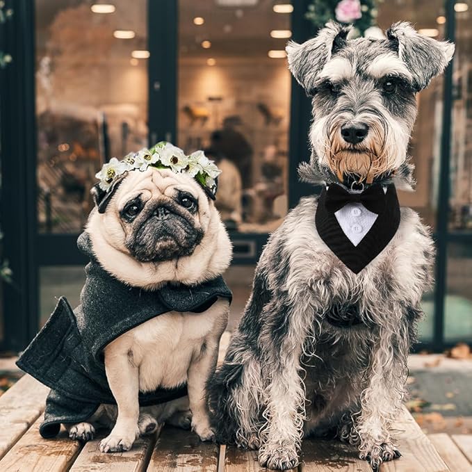 Dog Wedding Bandana