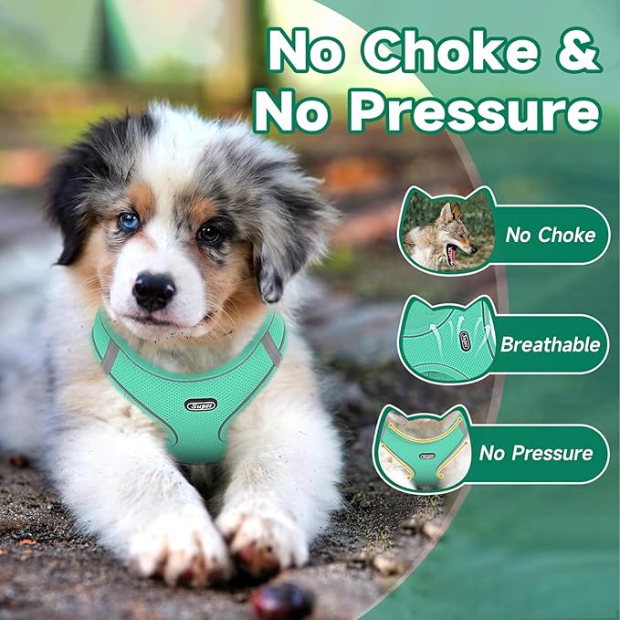Supet Cat Harness and Leash Set for Walking