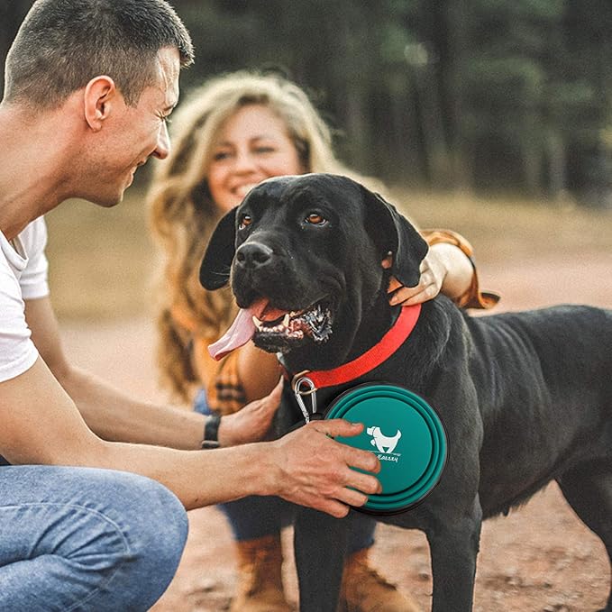 Collapsible Dog Bowls for Travel 2-Pack Dog 2 Carabiners,