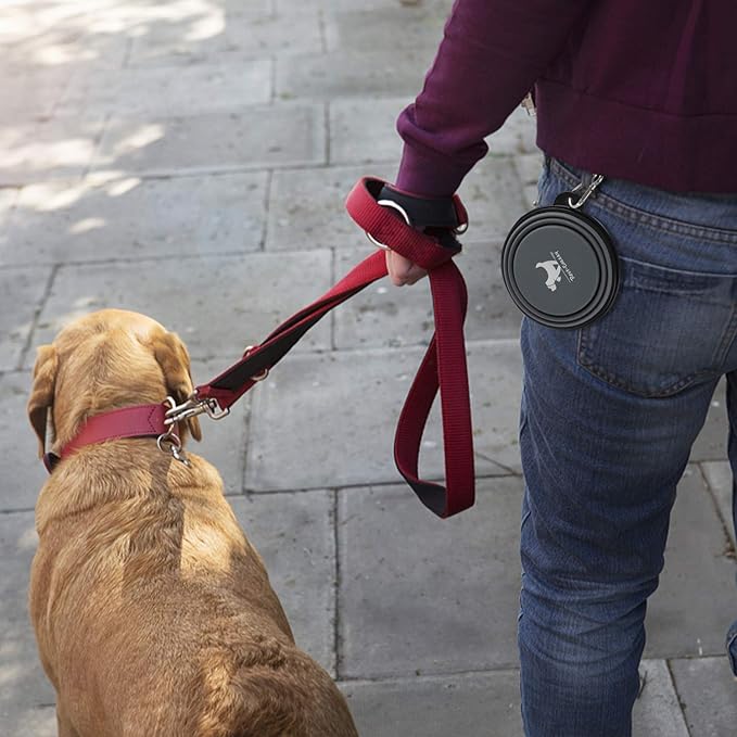 Collapsible Dog Bowls for Travel 2-Pack Dog 2 Carabiners,