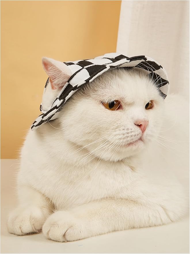 Generic Grid Pattern Dog Hat with Ear Hole