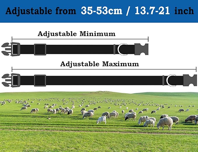 5 Pack Goat Collar with Bell