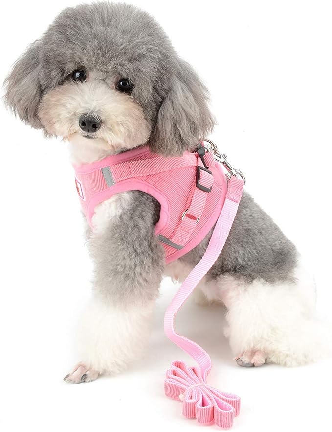 Zunea No Pull Dog Harness and Leash Set