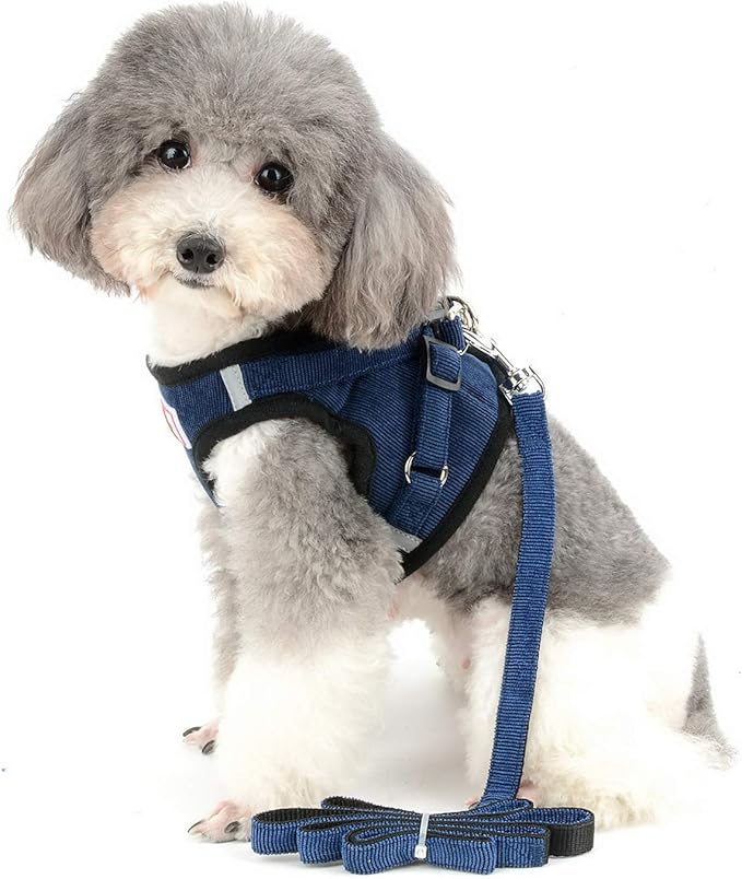 Zunea Small Dog Harness and Leash Set No