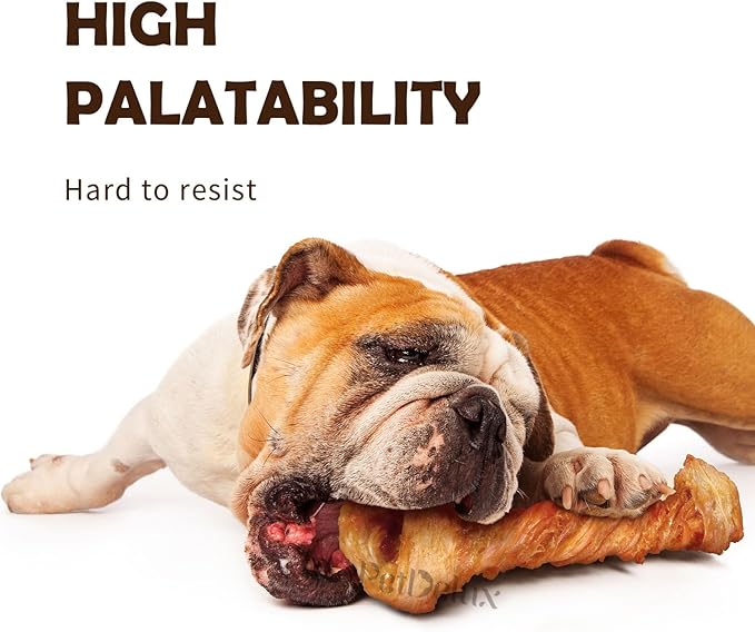 Turkey Tendon for Dogs 1 Unit/Pack