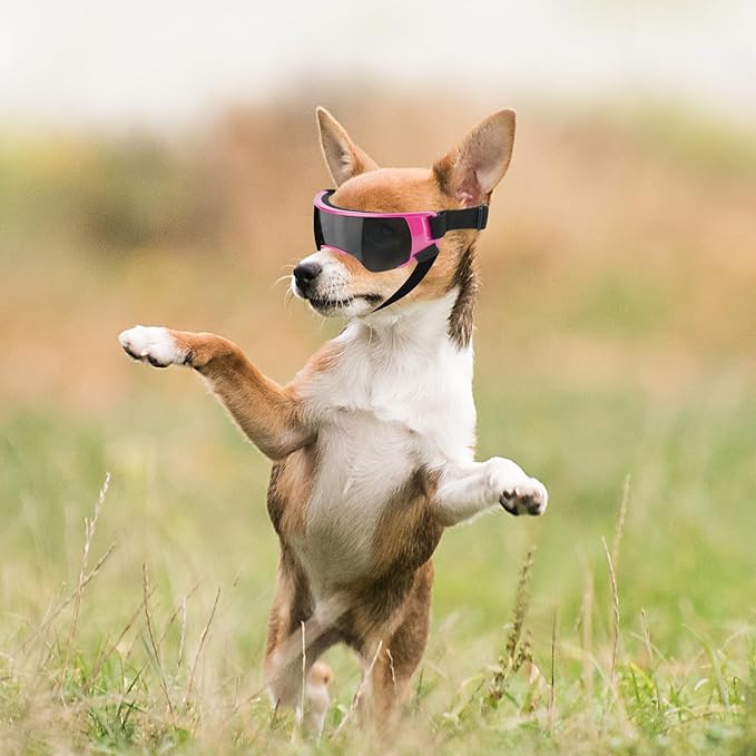 ENJOYING Dog Sunglasses Small Dog Goggles Anti-UV Doggy Glasses for Small Dogs Big Cats Impact/Wind/Dust/Fog Proof Puppy Eye Protection