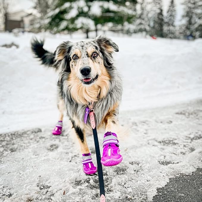 QUMY Dog Shoes for Large Dogs, Medium Dog Boots & Paw Protectors for Winter Snowy Day, Summer Hot Pavement, Waterproof in Rainy Weather, Outdoor Walking, Indoor Hardfloors Anti Slip Sole Purple Size 6