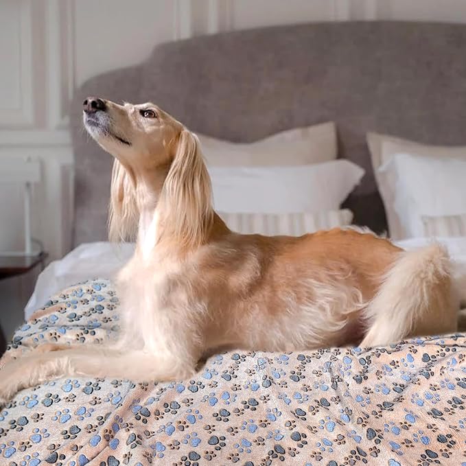 Dog Blankets for Large Dogs 1 Pc 60" x 50", Fuzzy