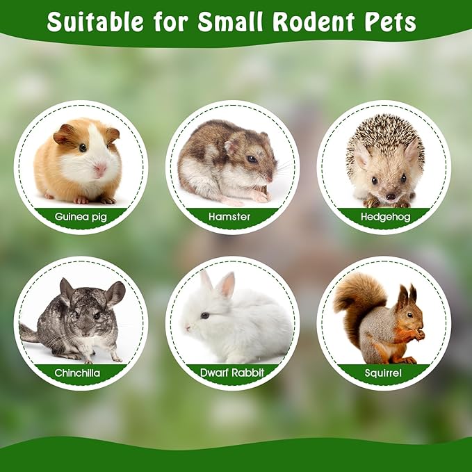 BWOGUE 1000g Pet Snacks Sweet Bamboo Chew Toy