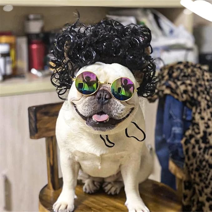 Funny Dog Cat Cosplay Wig