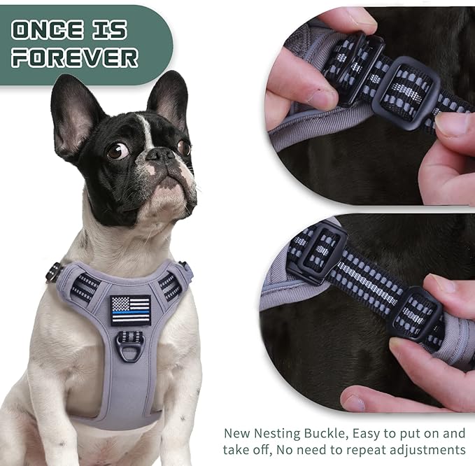BUMBIN Tactical Dog Harness for Medium Dogs No Pull with Dog Leash