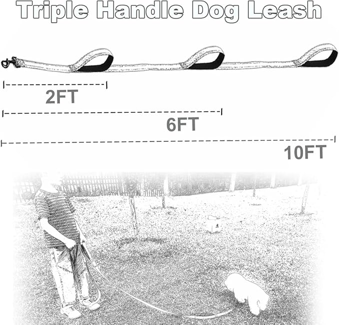 3 Handle Dog Leash 10FT Triple