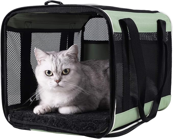 petisfam Easy Load Pet Carrier for Large 2 Cats