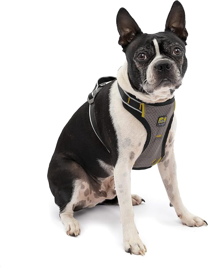 Kurgo Impact Dog Car Harness 108 lbs,
