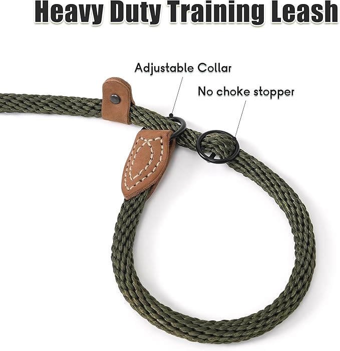 Mile High Life Slip Leads for Dogs 4 Feet