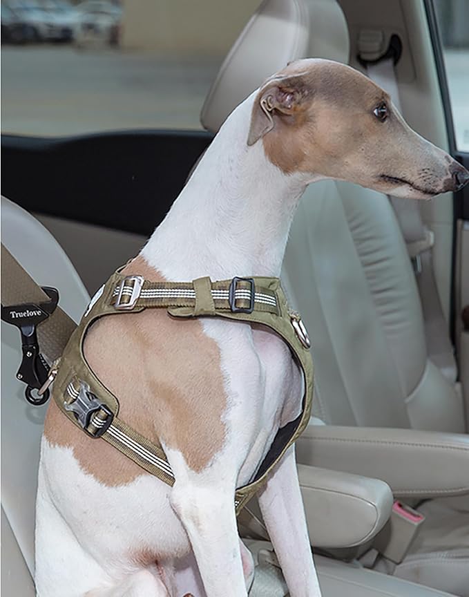 TRUE LOVE Vehicle Seat Belt Safety Buckle Lock