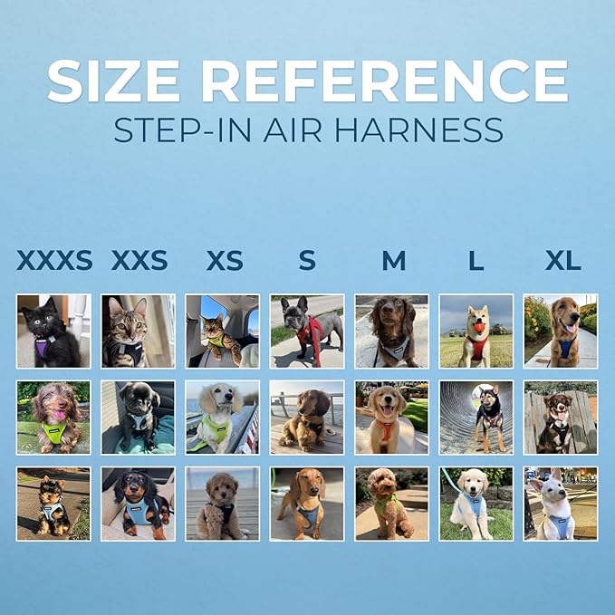 Voyager Step-in Air Dog Harness 18-20.5")