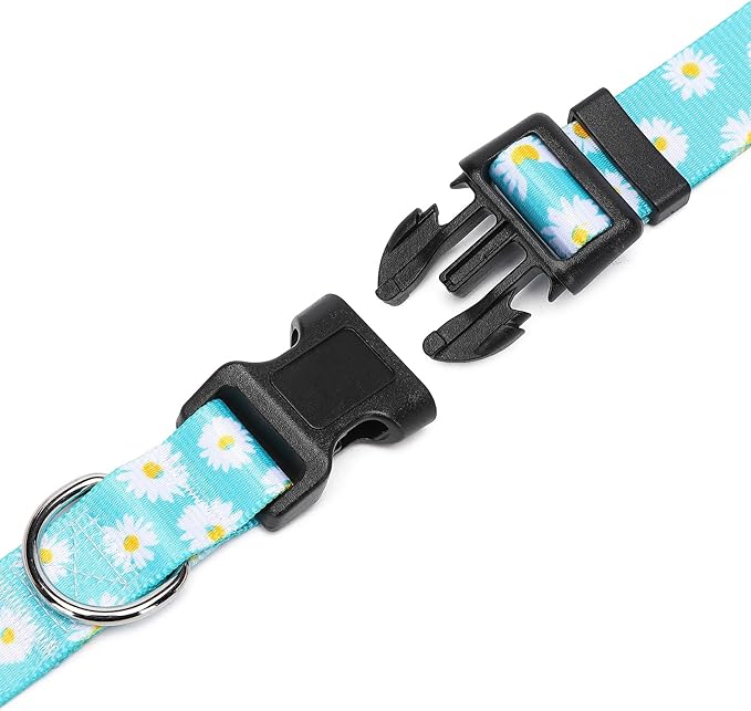 Adjustable Dog Collar with Patterns