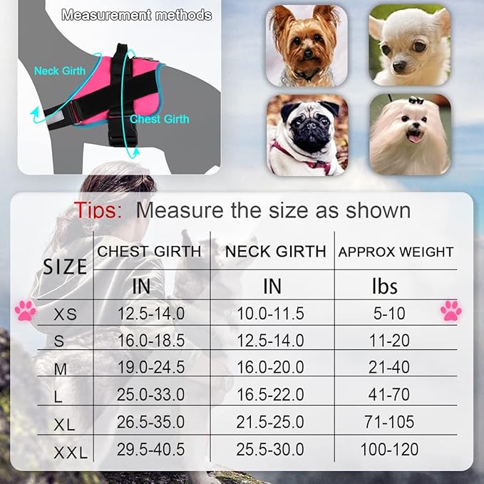 Bolux Dog Harness 1)