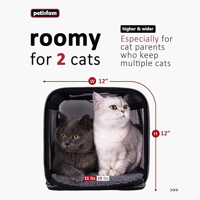 petisfam Soft Pet Carrier Bag for Medium or Large Cats (Large