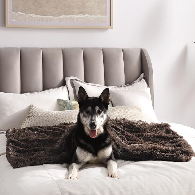 Best Friends by Sheri Calming Shag Fur Pet Throw Blanket 40"x50"