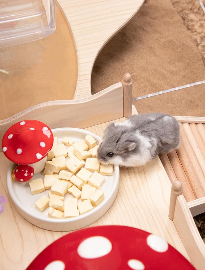 Niteangel Hamster Snack & Treats Toy 5mm - 0.7oz (20g))